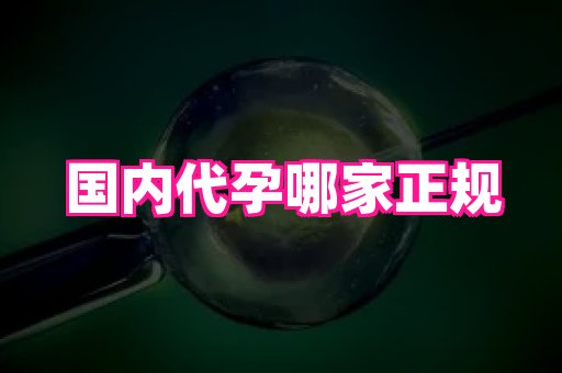 61助孕网 3